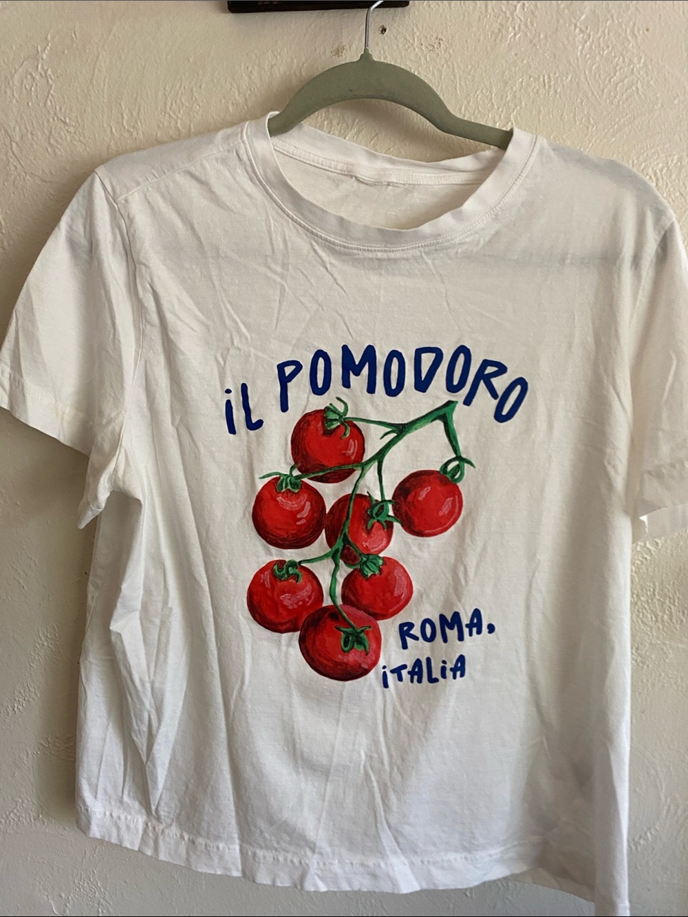 H&M White Tee with Red Tomato Vine Graphic and Blue Lettering
